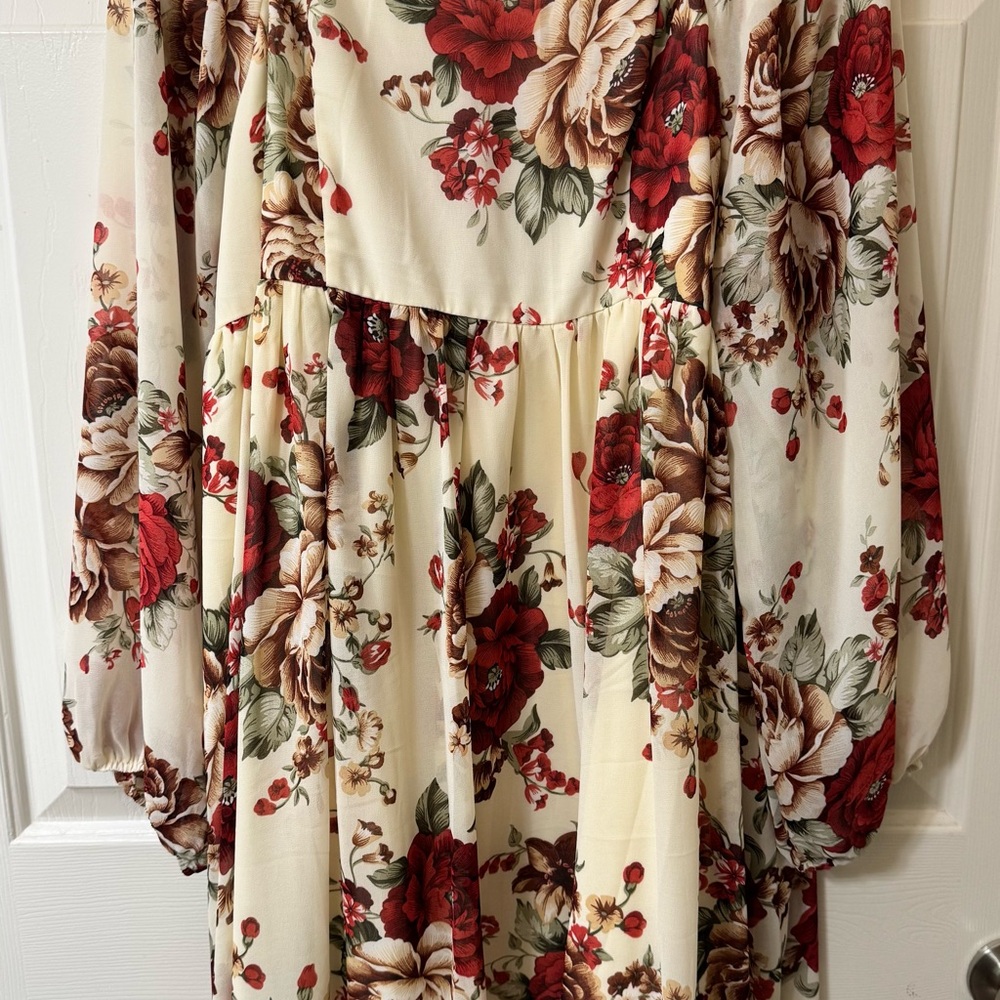 SHEIN Floral Lined Mini Dress - Red and Cream